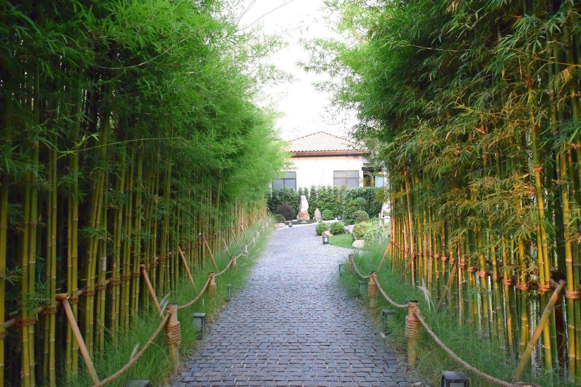 Zen Villa Khao Yai Mu Si Dış mekan fotoğraf